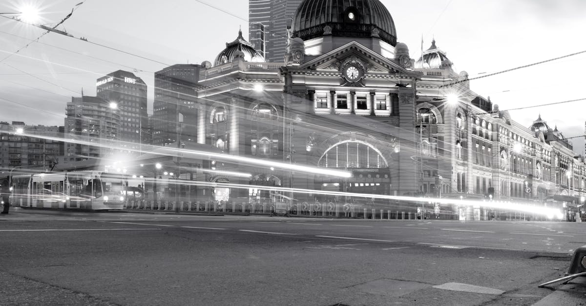 Managing Roof Pests in Residential Properties